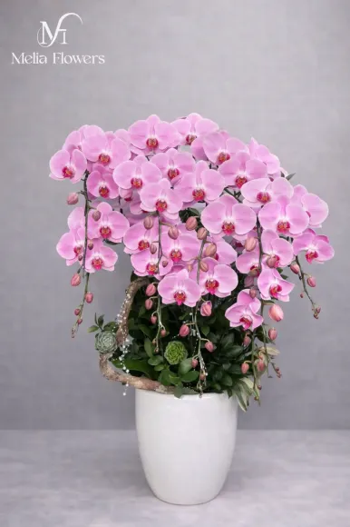 Hoa Tặng Sếp Nên Chọn Loại Nào? Gợi Ý 10+ Mẫu Hoa Sang Trọng, Ý Nghĩa