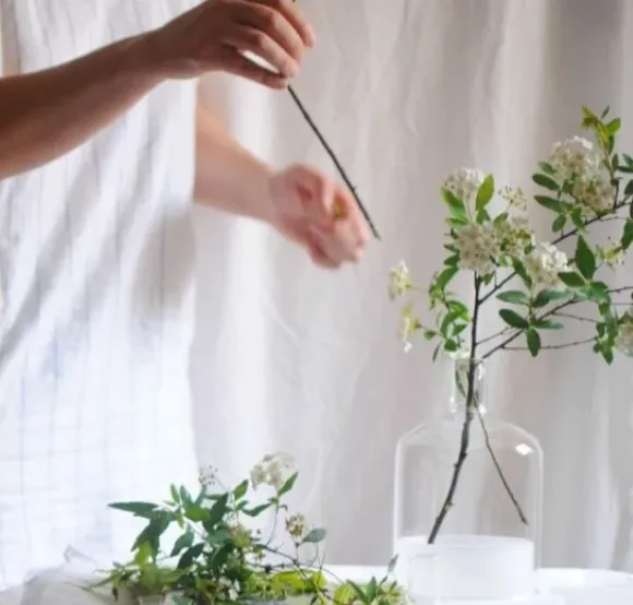 Hoa Tặng Sếp Nên Chọn Loại Nào? Gợi Ý 10+ Mẫu Hoa Sang Trọng, Ý Nghĩa