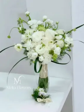 Chậu lan Hồ điệp Thịnh Vượng 