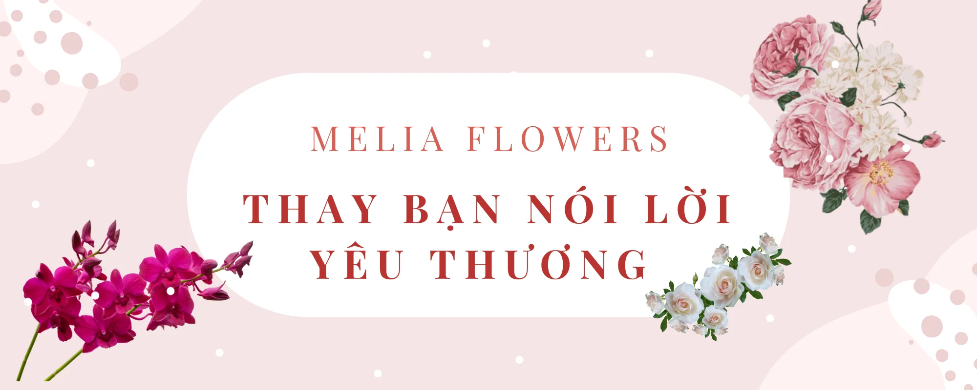 MELIA FLOWERS- THAY BẠN NÓI LỜI YÊU THƯƠNG 