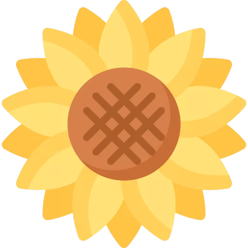 MELIA FLOWERS- THAY BẠN NÓI LỜI YÊU THƯƠNG 