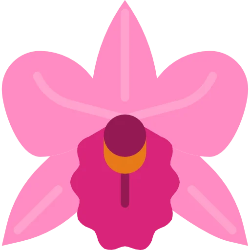 MELIA FLOWERS- THAY BẠN NÓI LỜI YÊU THƯƠNG 