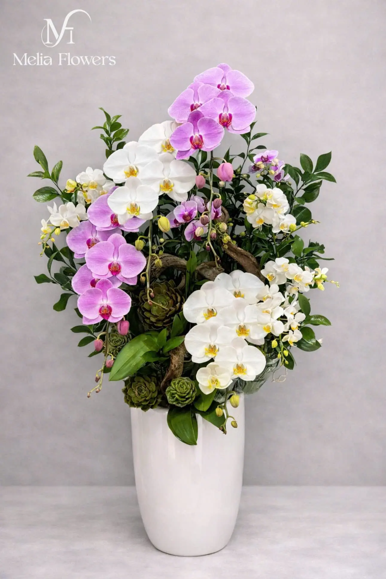 MELIA FLOWERS- THAY BẠN NÓI LỜI YÊU THƯƠNG 