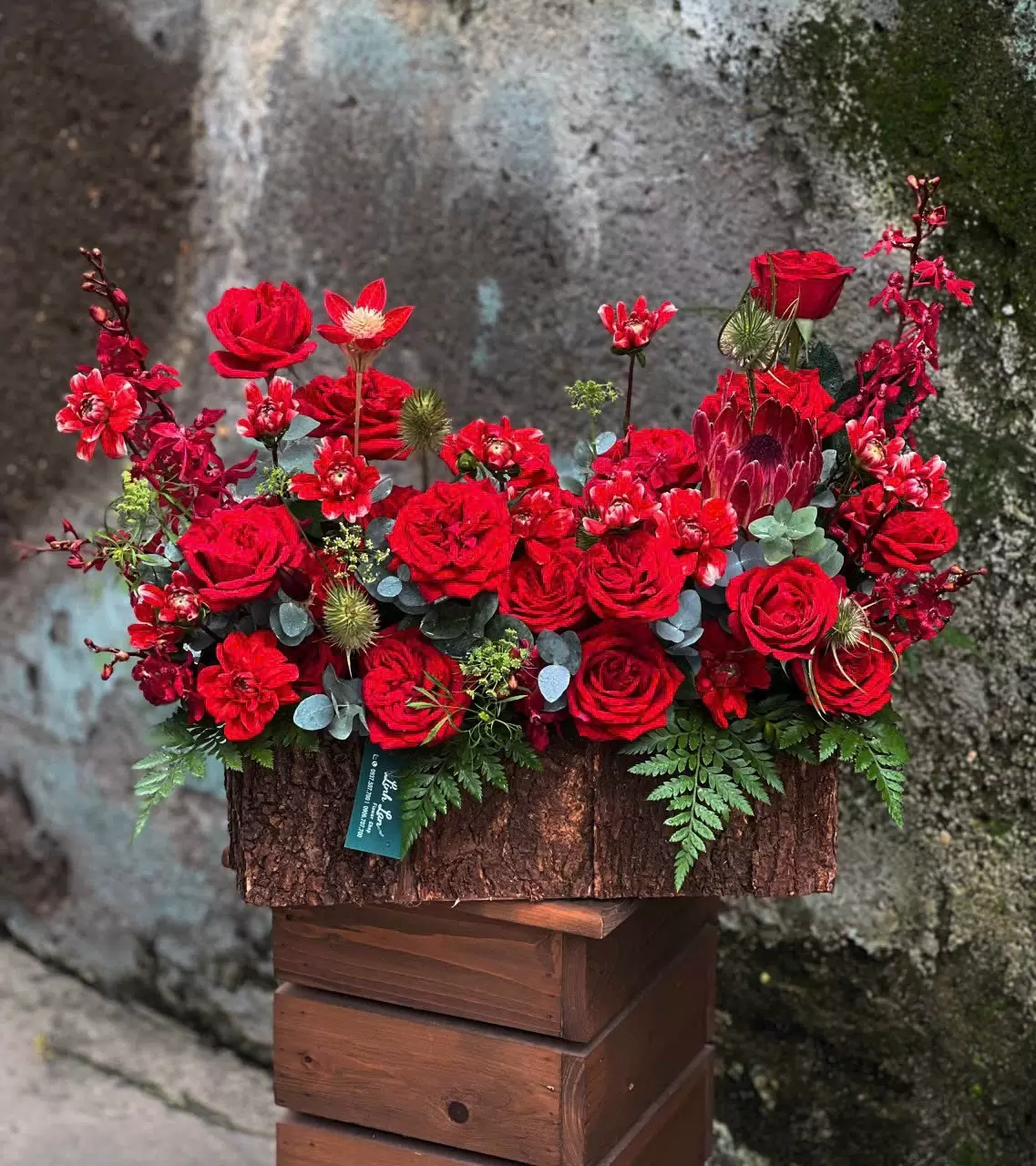 MELIA FLOWERS- THAY BẠN NÓI LỜI YÊU THƯƠNG 